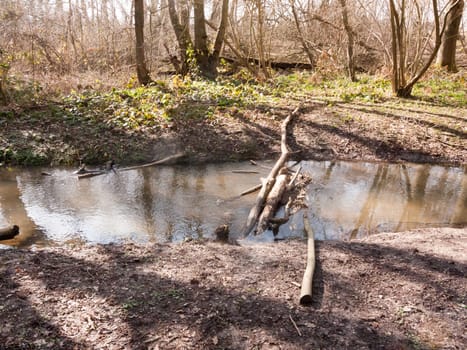 inside forest stream running water with wooden tree stumps bridge; essex; england; uk