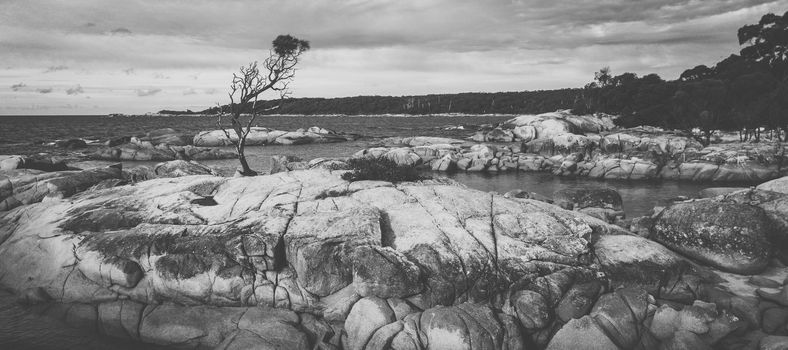Bay Of Fires, Binalong Bay during the day in Tasmania.