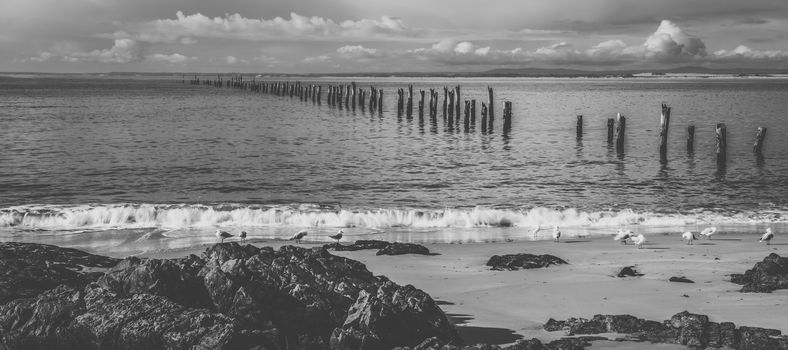 Beautiful beach at Bridport, Tasmania, Australia during the day.