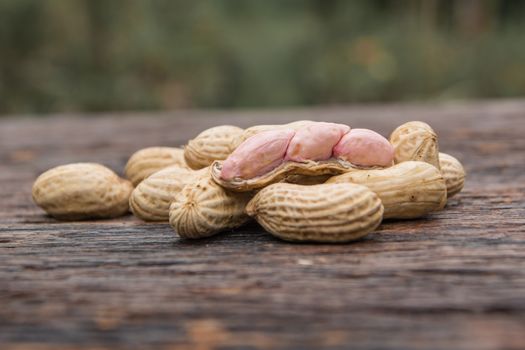 peanuts in shells with fresh groundnut on wooden on nature background