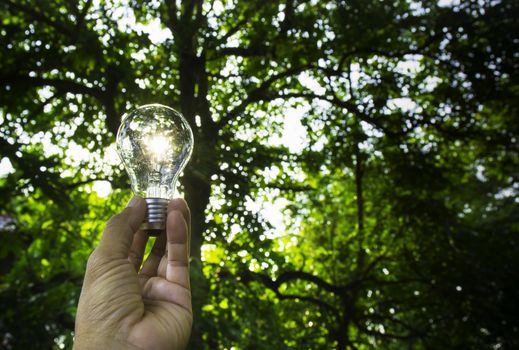 Hand of person holding light bulb for idea for success or solar energy