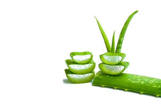 aloe with aloe sliced isolated on white background.