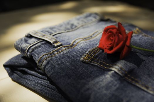 Blue jeans folded with red rose on wooden table and on wooden background.