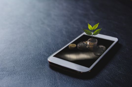 Green plant put on stack coins with smart phone on black background. financial and saving energy concept.