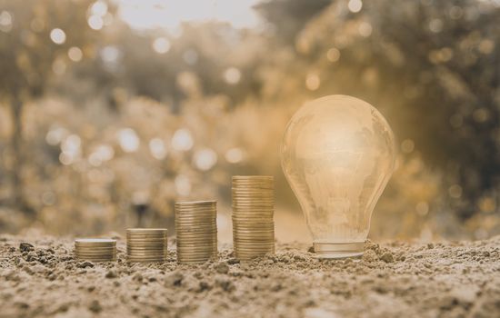 Energy saving light bulb and tree growing on stacks of coins on nature background sepia style.