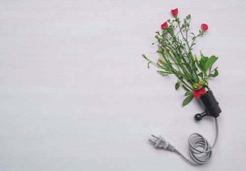 Electric plug with red flower. Fresh red flower in plug for nature energy with copy space.