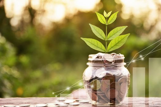 Double exposure stock financial with coins in glass and stack coins with tree for business and tax season.