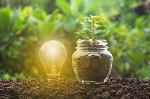 Energy saving light bulb and tree growing on stacks of coins on nature background.