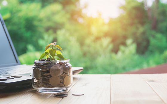 Coins put in glass and stack coins with laptop for growing business and tax season.