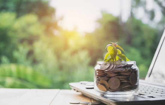 Coins put in glass and stack coins with laptop for growing business and tax season.