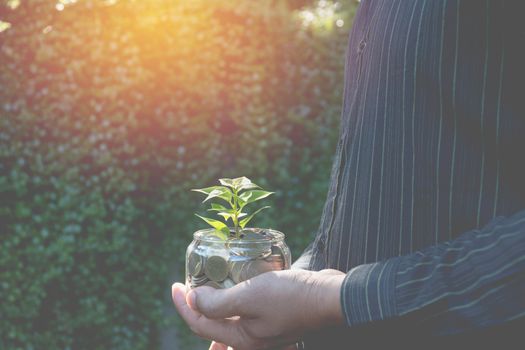 Hand of businessman holding tree and coins in glass financial and growing business concept.