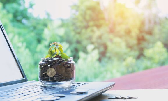 Coins put in glass and stack coins with laptop for growing business and tax season.