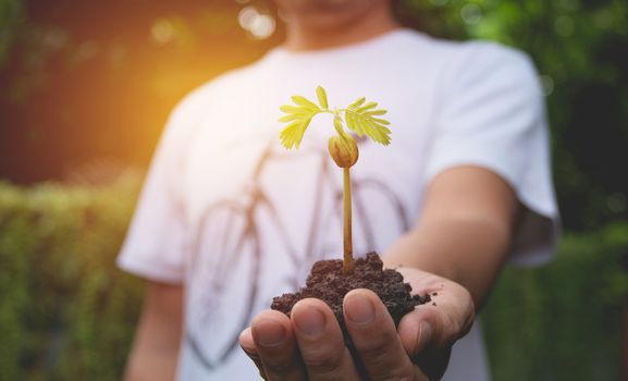 A man holding green small plant life concept.Ecology concept.