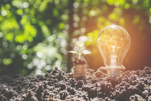 Energy saving light bulb and tree growing on stacks of coins on nature background.