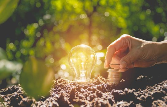 Energy saving light bulb and tree growing on stacks of coins on nature background.