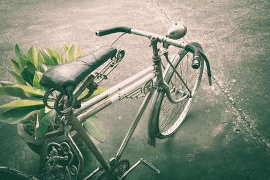 Old rusty bicycle near the pot of plant. Old bicycle leaning against pot.