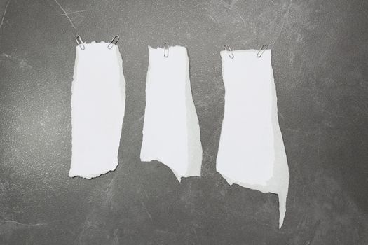 collection of white ripped pieces of paper on table background. each one is shot separately