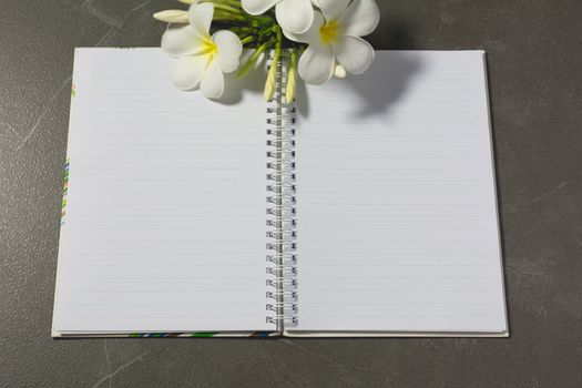 Top view of open book. Book open, with pen and flower on table dark tone background.