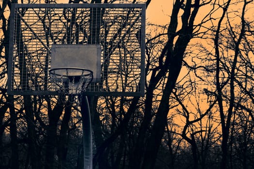 basket for basketball on the background of sunset and trees