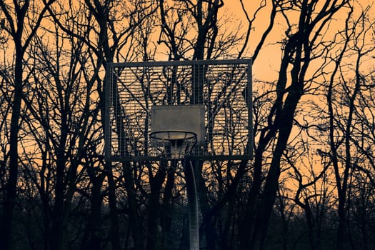 basket for basketball on the background of sunset and trees