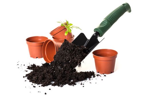 Planting a small plant on pile of soil, white background.