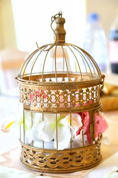 Wedding floral decoration arrangement in vintage birdcage.