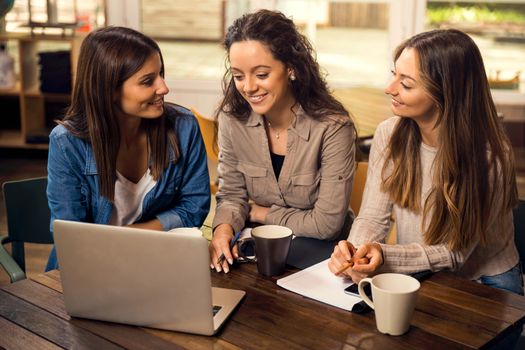 Group of beautiful female friends studying together