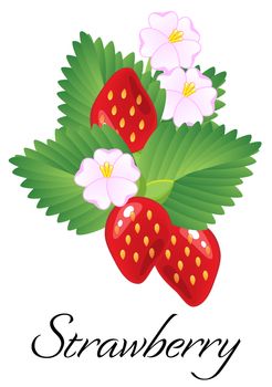 Ripe juicy red strawberries isolated with leaves and flowers. illustration
