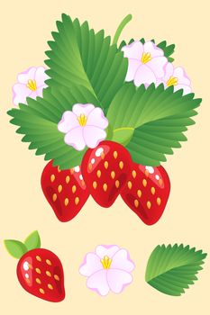 Ripe juicy red strawberries isolated with leaves and flowers. illustration