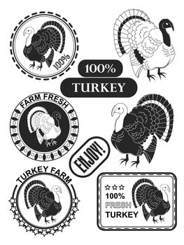 Set of premium turkey meat labels and stamps. illustration