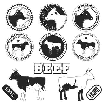 Set of premium beef labels, badges and design elements. illustration