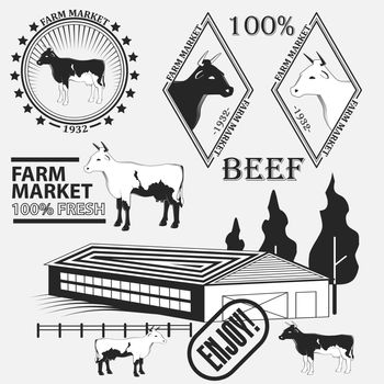 Set of premium beef labels, badges and design elements. illustration