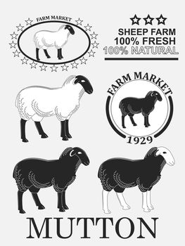 Set of premium lamb labels, mutton, badges and design elements. illustration