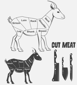 British cats of goats or Animal diagram meat. illustration