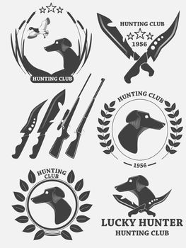 Set of hunting retriever logos, labels and badges. Dog duck, weapons. illustration