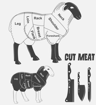 British cuts of lamb or Animal diagram meat. illustration