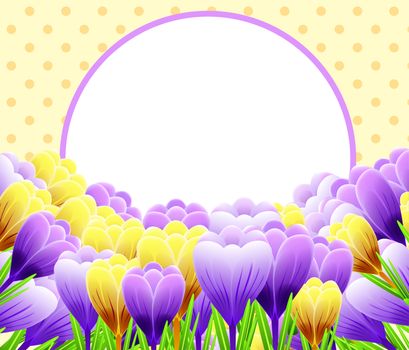 Card with crocuses. Spring flower. Perfect for wedding, greeting or invitation design. illustration