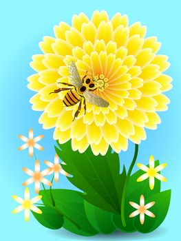 Bee on yellow flower collects honey and pollen. illustration