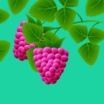 Red, juicy, sweet raspberries on a branch for your design. illustration