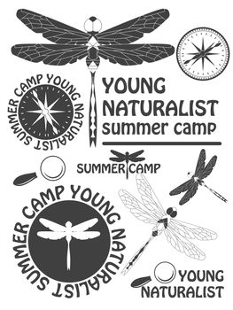 Set of vintage dragonfly labels, badges and design elements. illustration