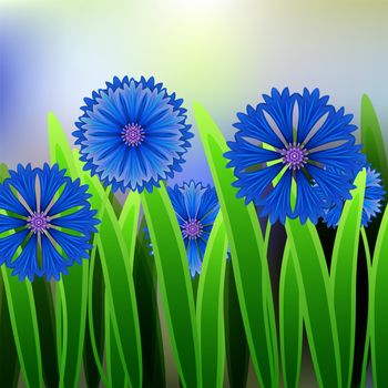 Floral background with space for text, card or invitation template with blue cornflower. illustration