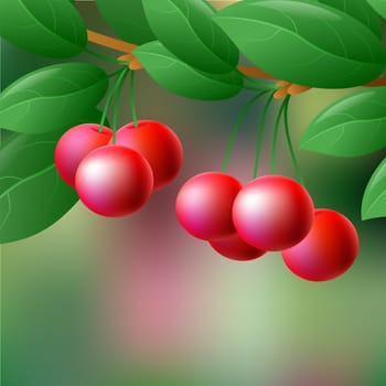 Red, juicy, sweet cherries on a branch for your design. illustration