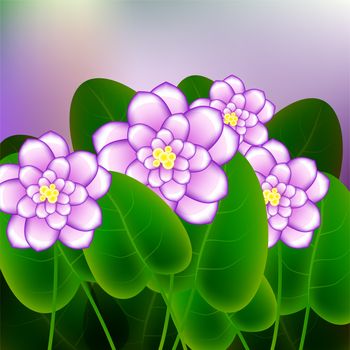 Spring background with blossom brunch of african violets flowers. illustration