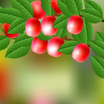 Red, juicy, sweet Nanking Cherry on a branch for your design. illustration