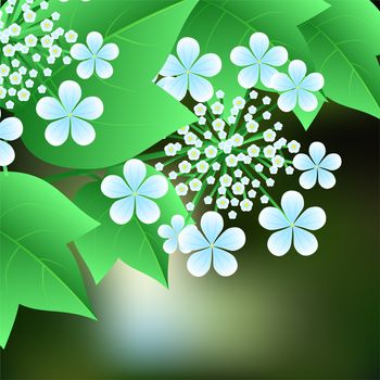 Flowering viburnum with green leaves in the background. illustration