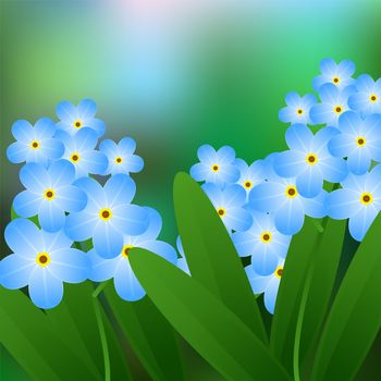 Meadow with forget-me-nots blooming, blue, beautiful. illustration