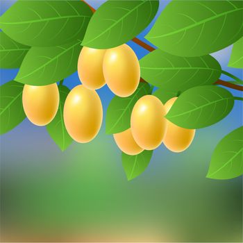 Yellow, juicy, ripe, sweet cherry plum hanging on a tree branch. illustration