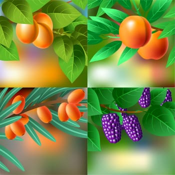 Orange, juicy, sweet apricots on a branch for your design. illustration