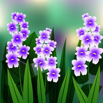 Blooming flower. Military orchid plant purple blossom. Orchis militaris. illustration
