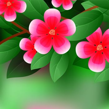 Beautiful spring flowers Chaenomeles. Cards or your design with space for text. illustration